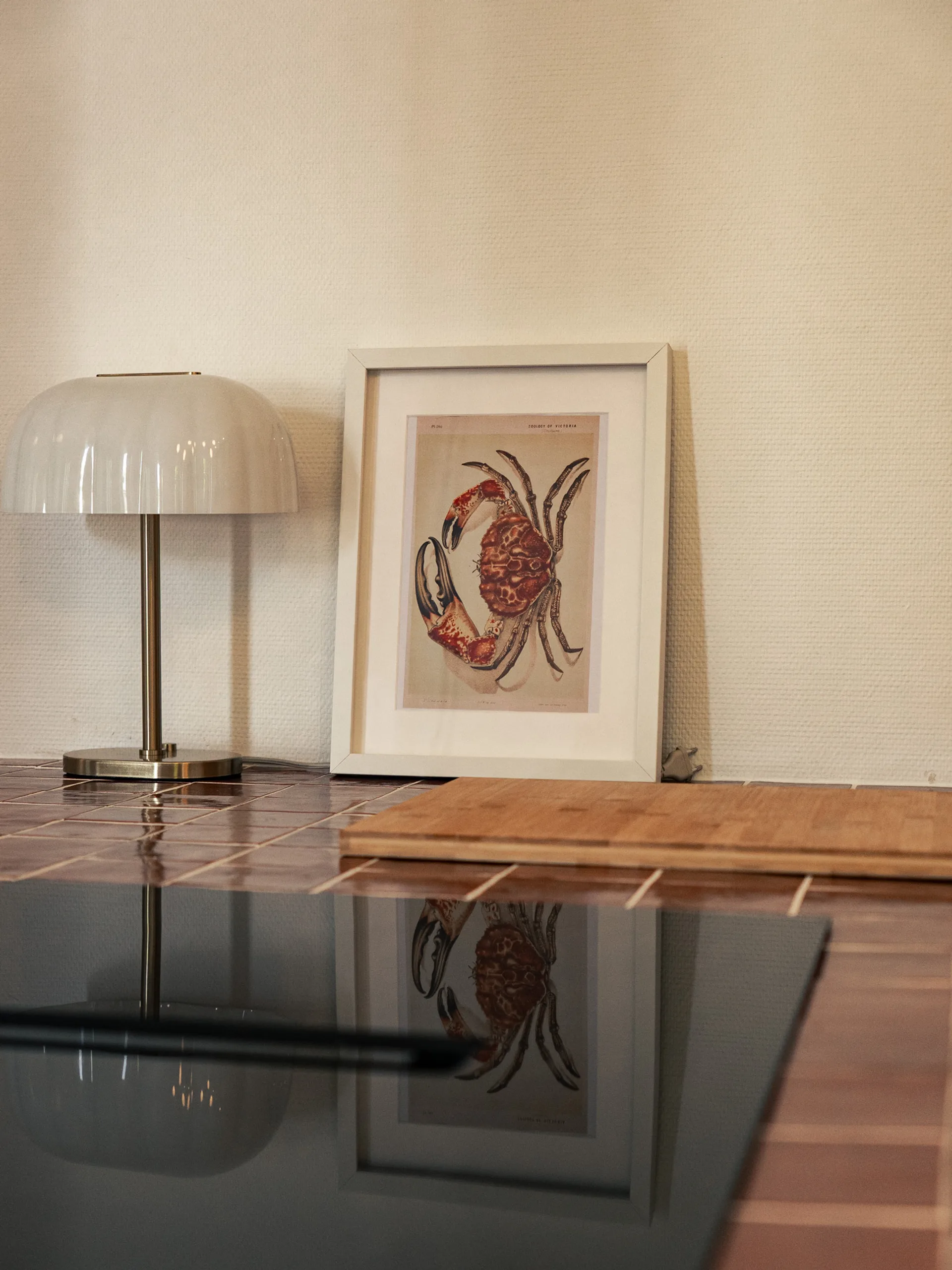 PLAQUE HOTTE INTEGRER SUR ILOT DE CUISSON AVEC DECORATION INTERIEUR PLAQUE HOTTE INTEGRER SUR ILOT DE CUISSON AVEC DECORATION INTERIEUR